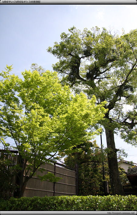 平等院の雰囲気