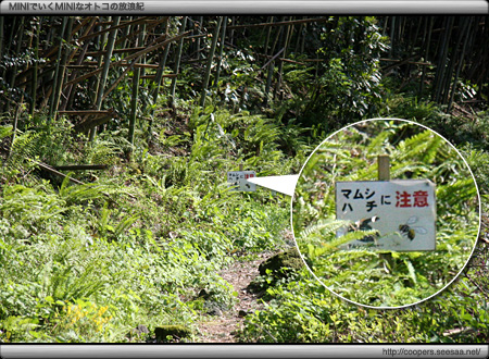 シュート跡〜石見銀山