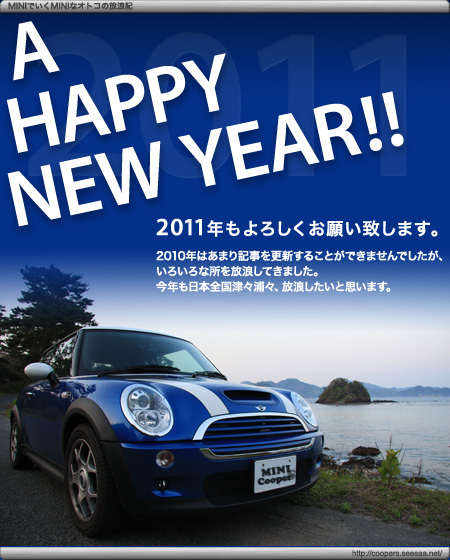 New Year 2011
