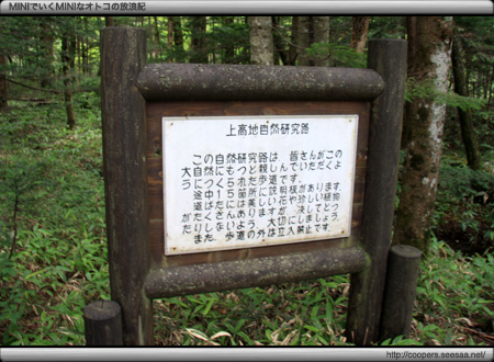 上高地の自然研究路
